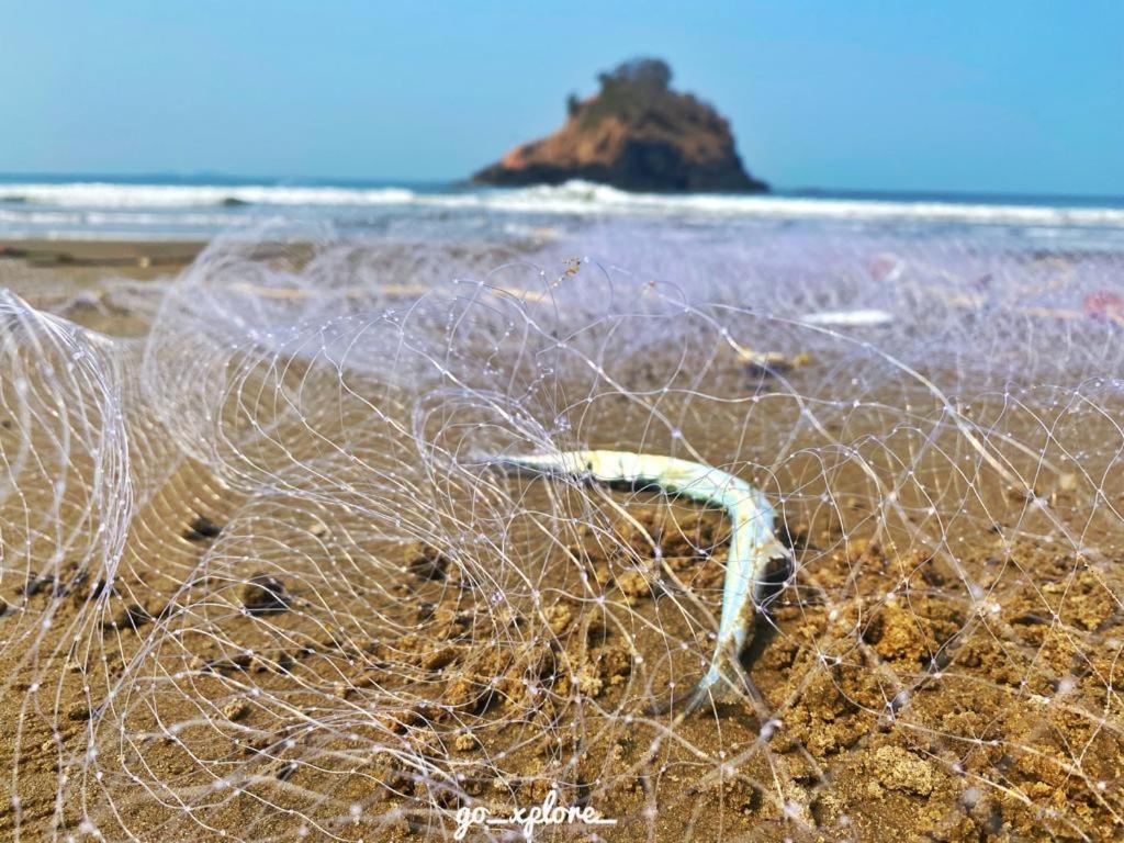 马贾利海滩度假村 Mājāli 外观 照片